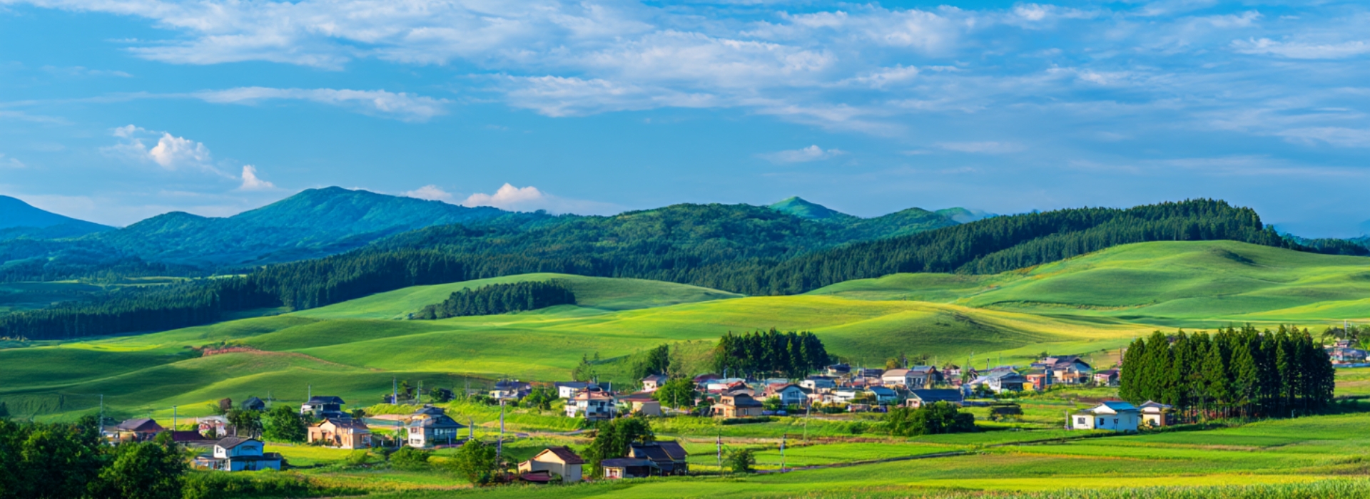 売る前の不安も、どうぞ安心してご相談ください。